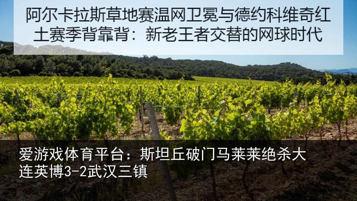 爱游戏体育平台:斯坦丘破门马莱莱绝杀大连英博3-2武汉三镇
